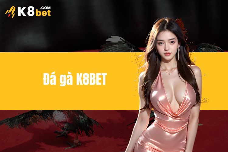 Đá Gà K8BET - Cá Cược Đỉnh Cao, Săn Ngàn Ưu Đãi Khủng