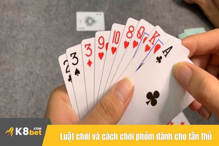 Luật chơi và cách chơi phỏm dành cho tân thủ